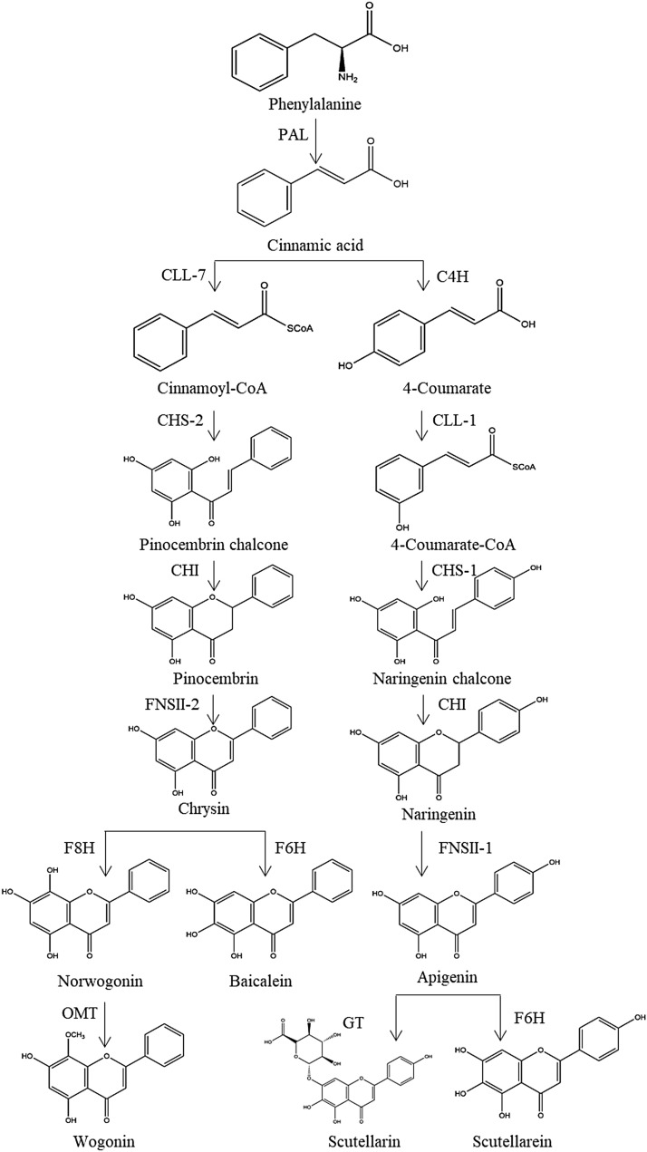 Fig. 2