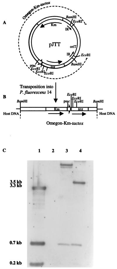 FIG. 1