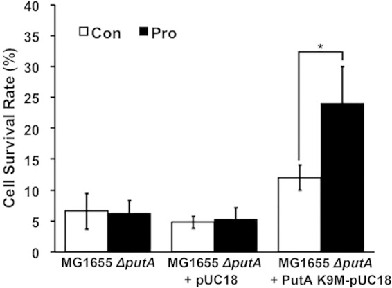 FIG 5