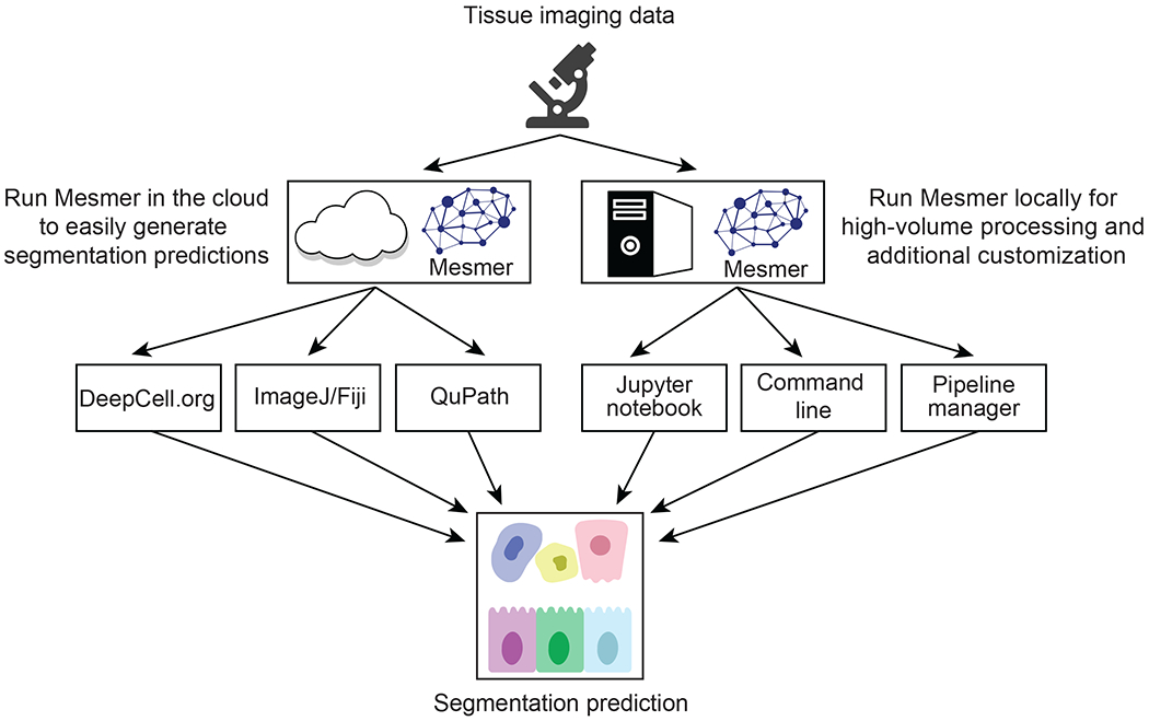 Figure 6: