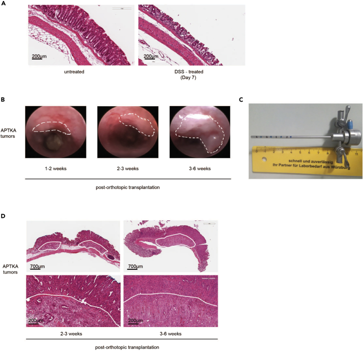 Figure 2