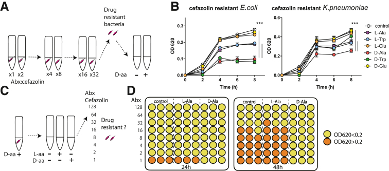 Figure 11