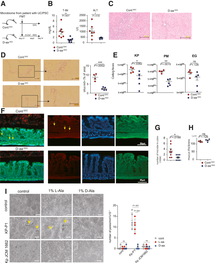 Figure 6