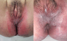 Supplementary Fig. 2