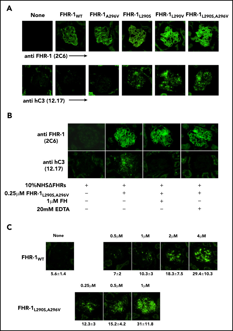 Figure 6.