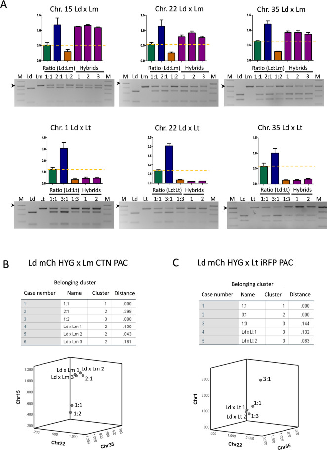 Fig 6