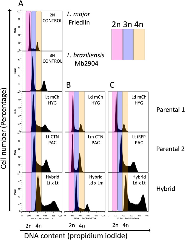 Fig 4