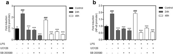 Fig. 11