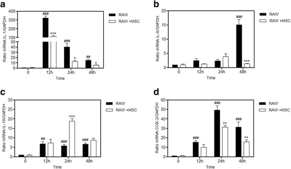 Fig. 10