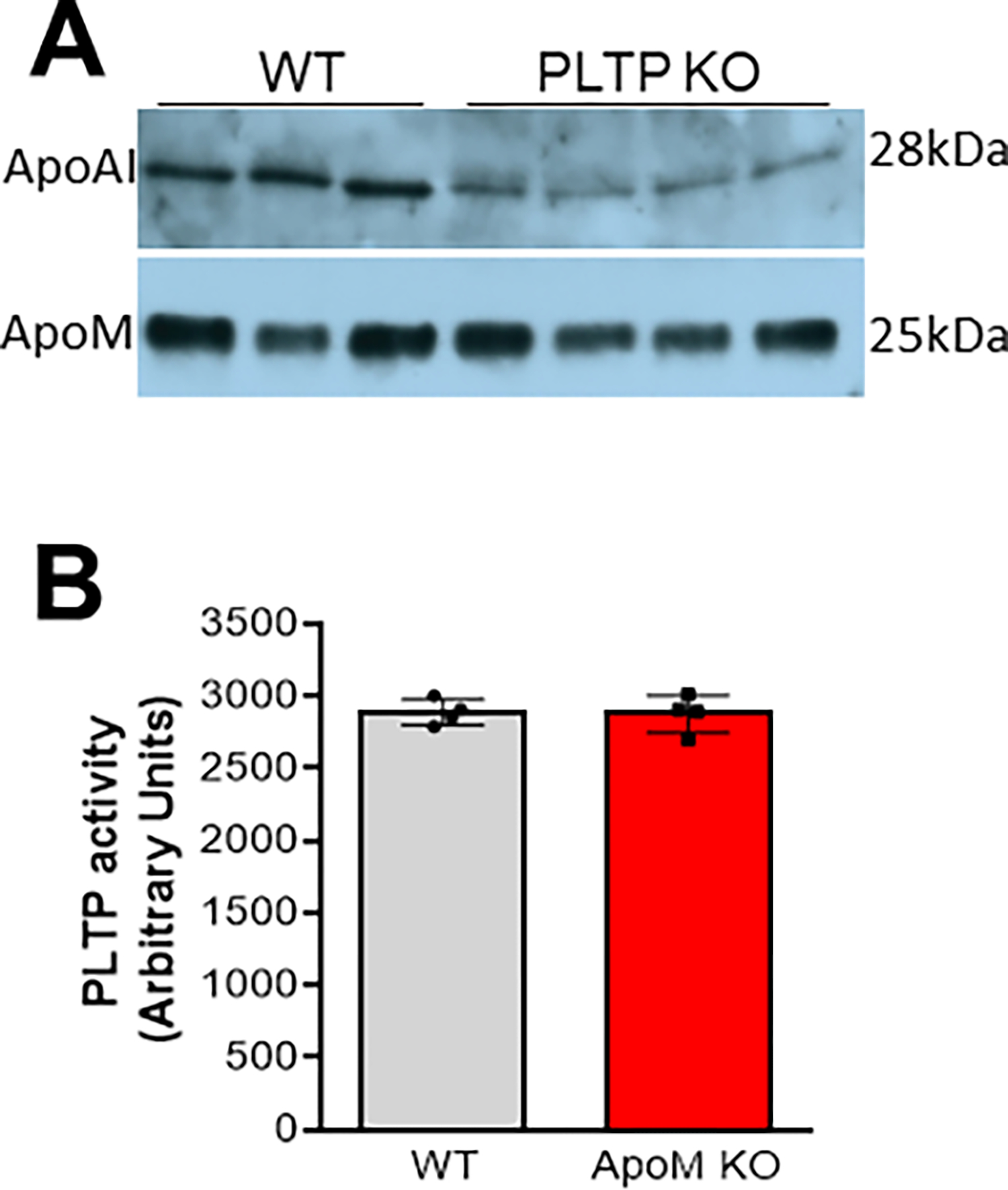 Figure 2: