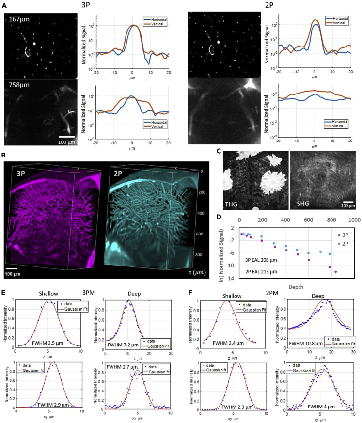 Figure 2