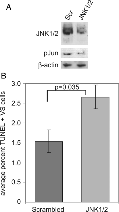 Fig. 8.