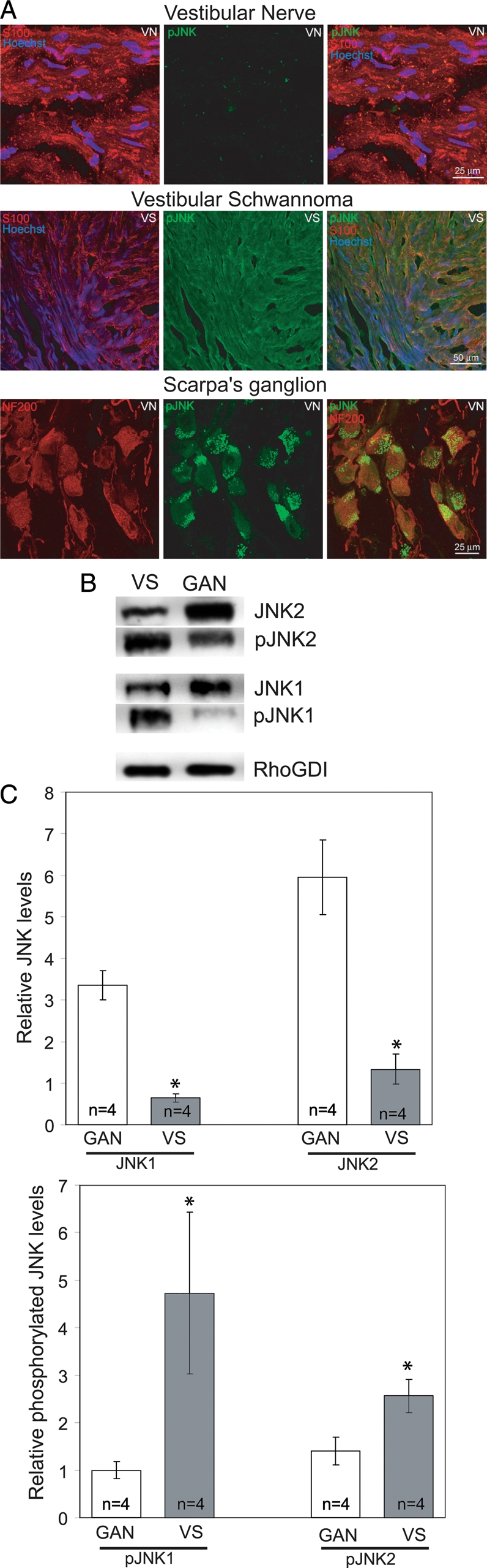 Fig. 1.