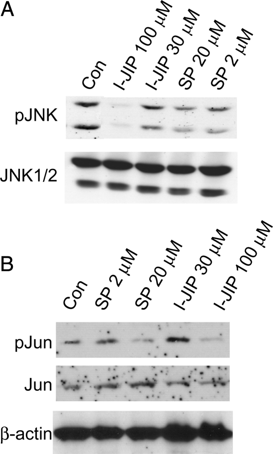 Fig. 5.