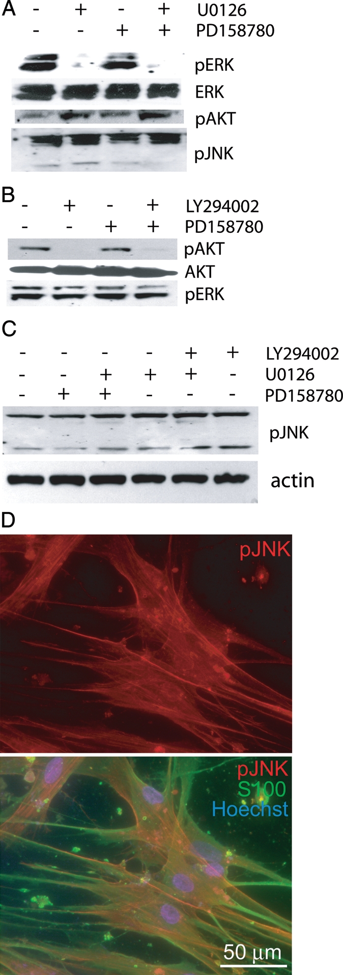 Fig. 3.