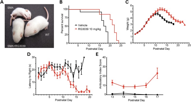 Figure 2.