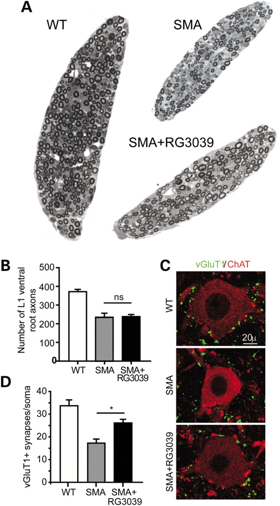 Figure 4.