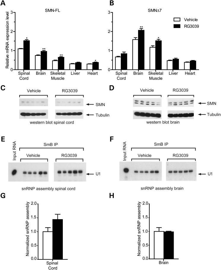 Figure 3.