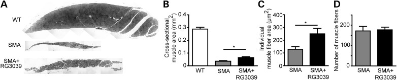 Figure 6.