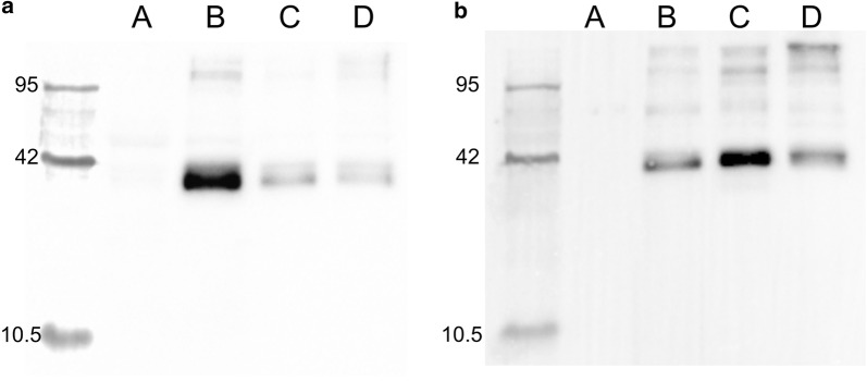 Fig. 5