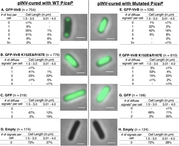 FIG 6