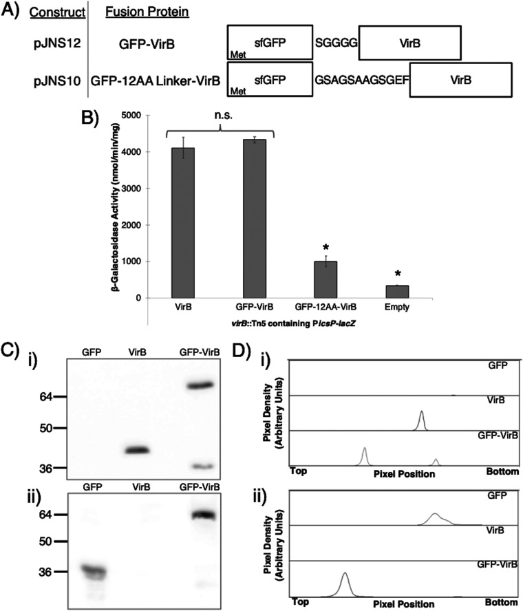 FIG 1