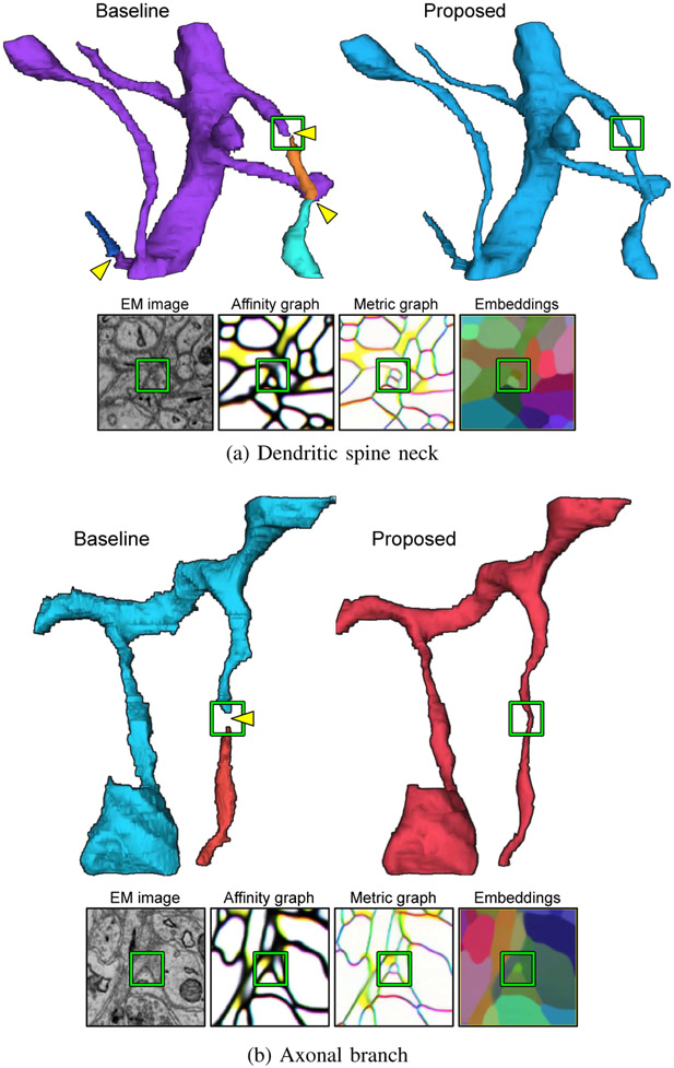 Fig. 4.