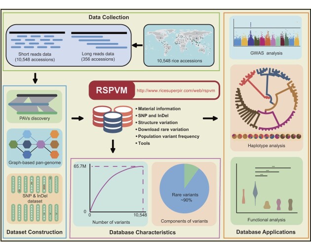 Graphical Abstract