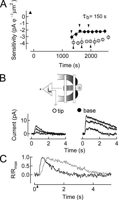 Figure 6.