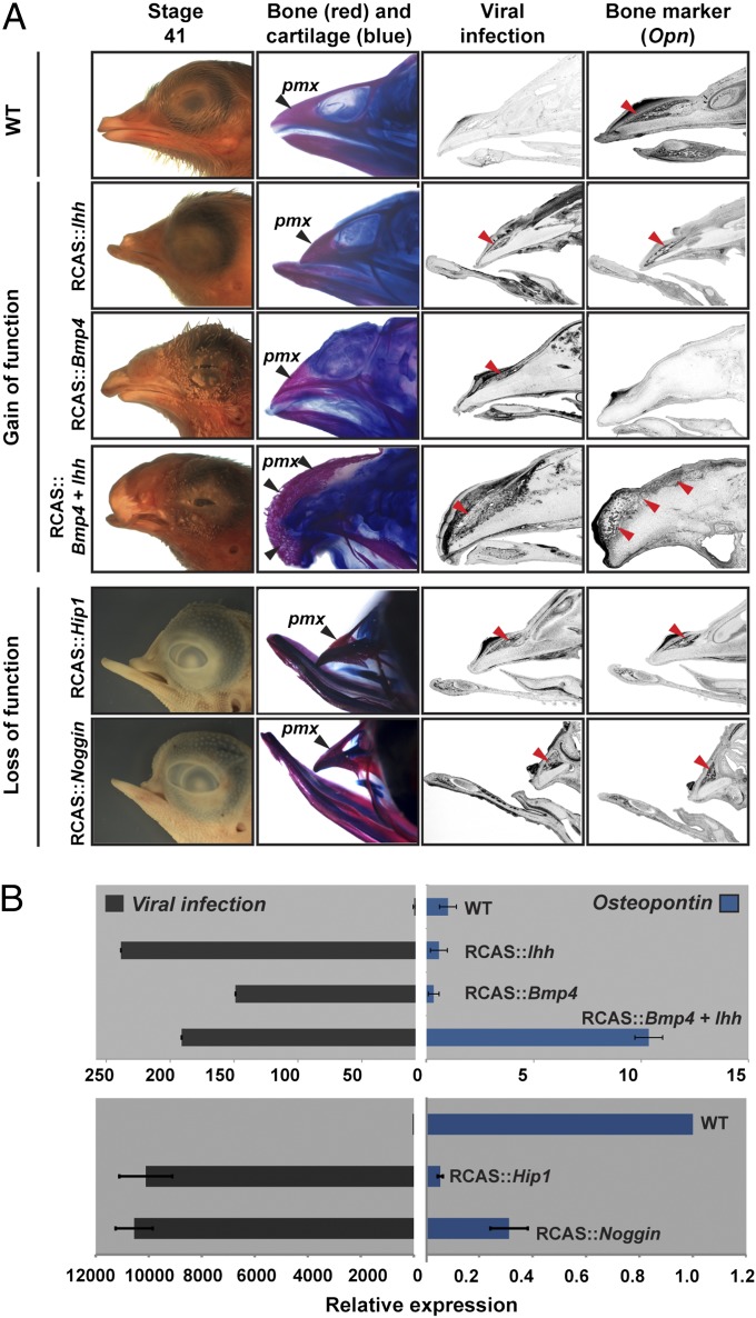 Fig. 4.