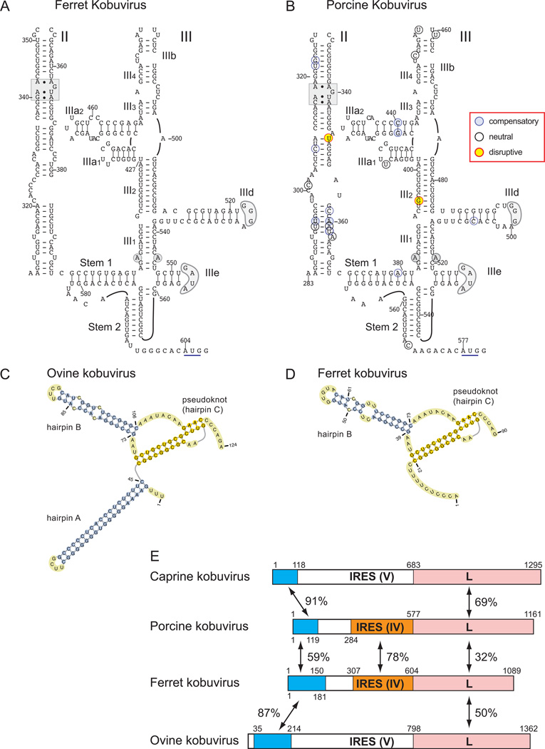 FIG 6