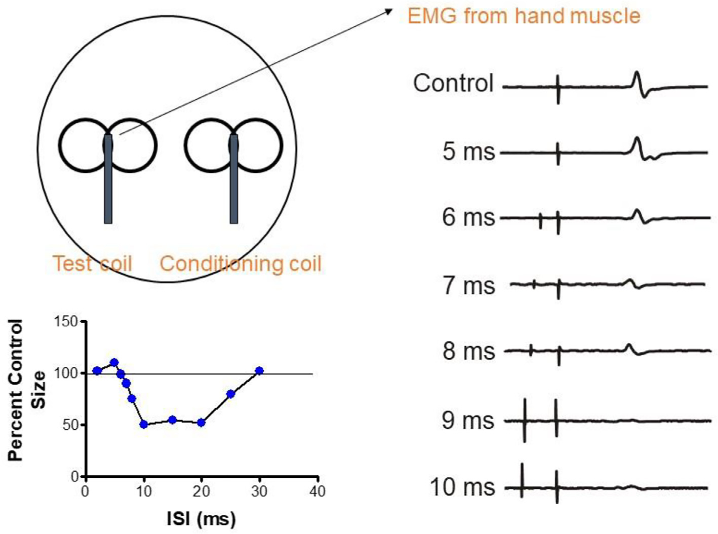 Fig. 10.