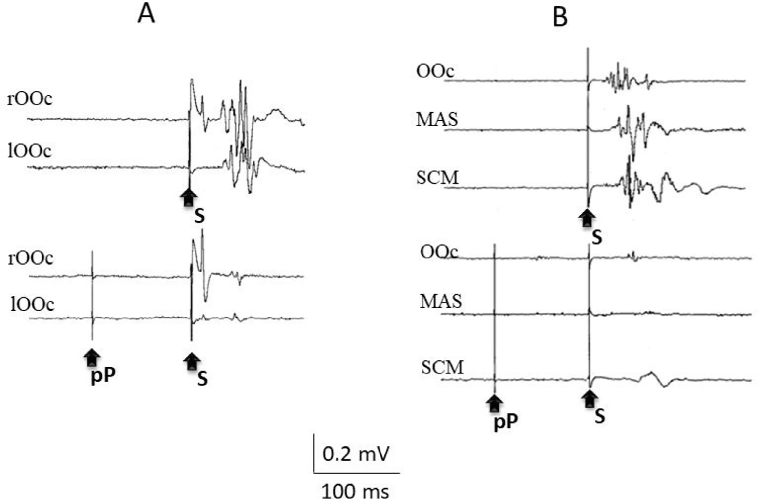 Fig. 8.