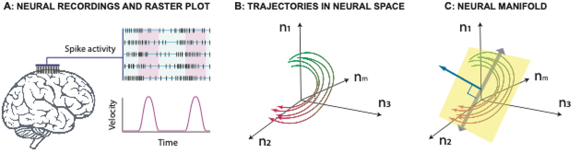 Fig. 23.