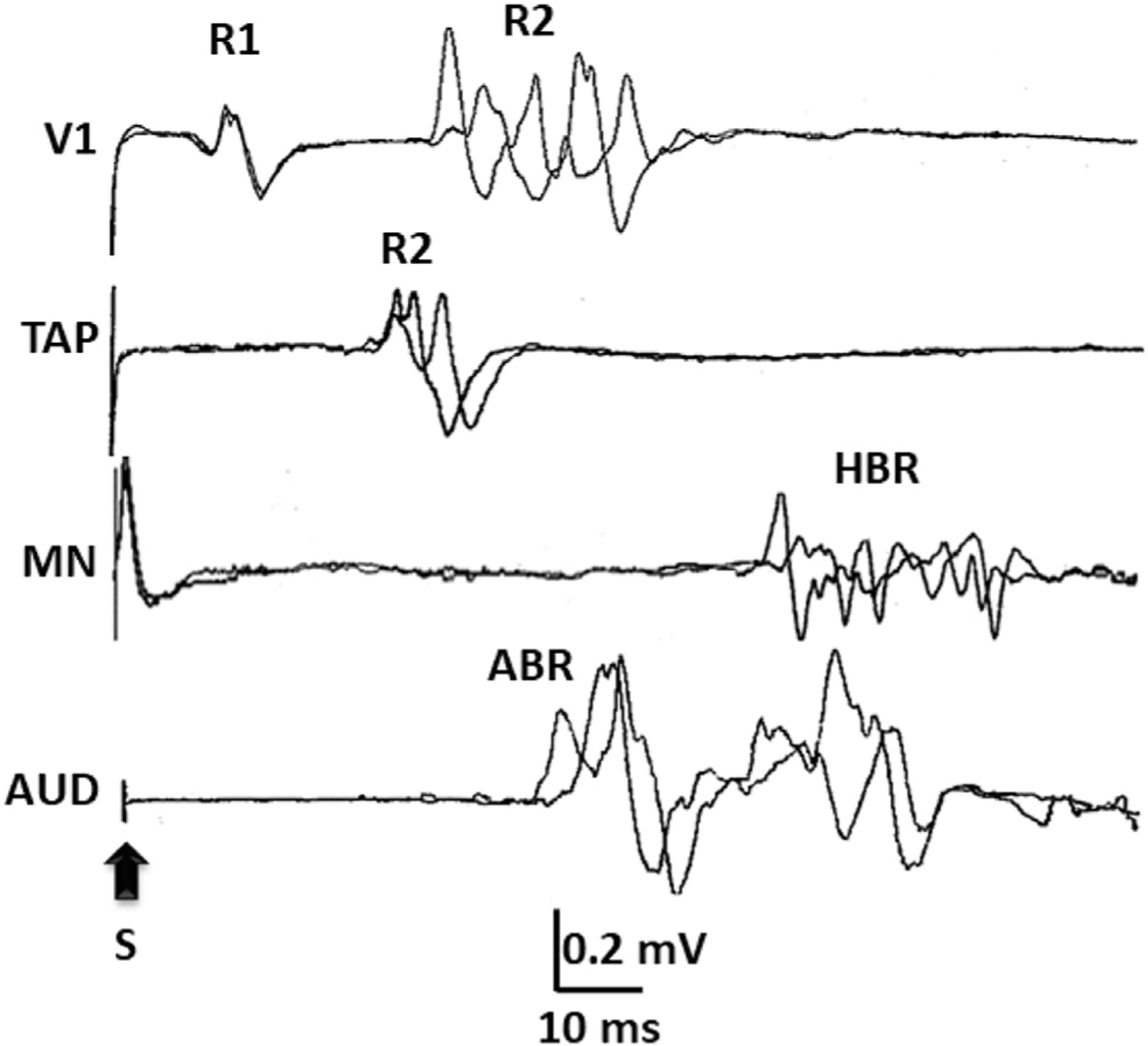 Fig. 6.