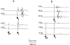 Fig. 8.