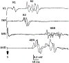 Fig. 6.