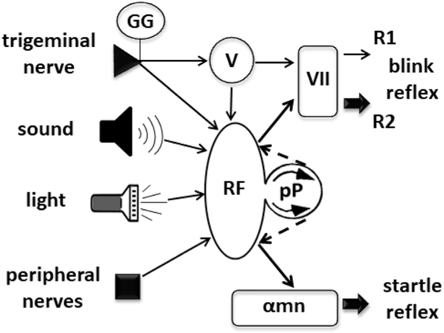 Fig. 5.