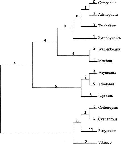 Figure 9