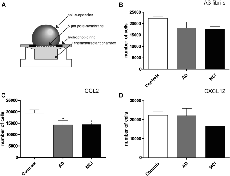 Fig. 2