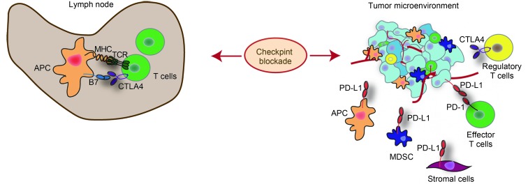 Figure1