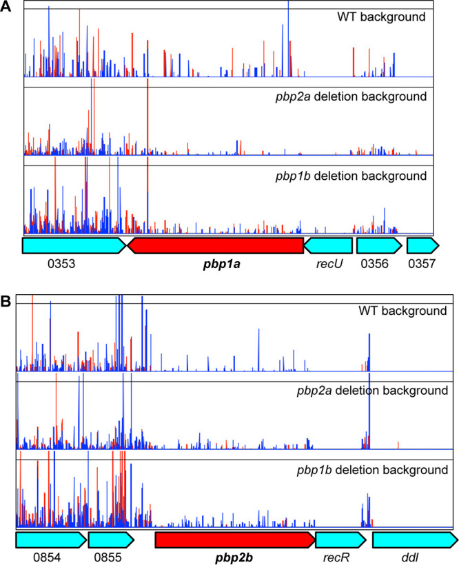 FIG 6