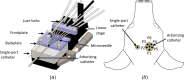 (a) Diagram of fixture used to secure arborizing catheter and single-port catheter. The backplate and frontplate support and guide the microneedles (b) axial view of specimen demonstrating the arrangement of pressure sensors within each catheter. For the arborizing catheter, each dot represents the distal end of the microneedles fully deployed. Illustration not to scale.