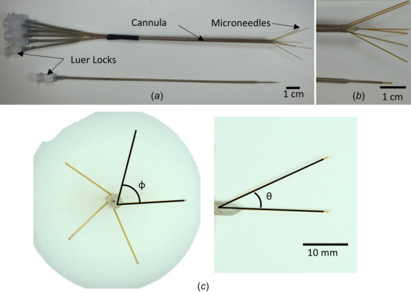 (a) Image shows an arborizing catheter and single-port catheter. (b) Magnified image of distal ends of the catheters showing microneedle deflection in the arborizing catheter and the reflux-arresting step change for the respective catheters. (c) Measured angles for the arborizing catheter. Phi (φ) was defined as the angle along the axes of two adjacent needles. Theta (θ) was defined as the angle of deflection of each microneedle in reference to the axis of the cannula.