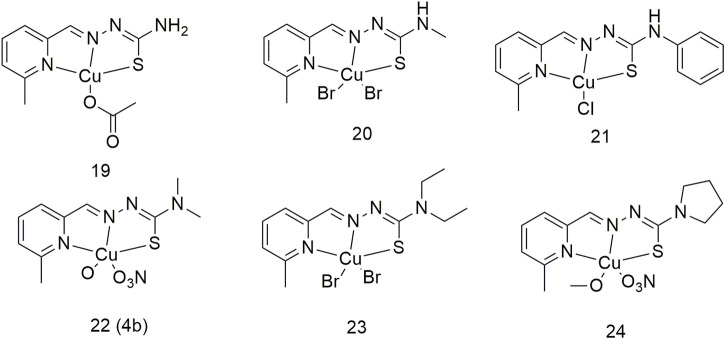 SCHEME 3