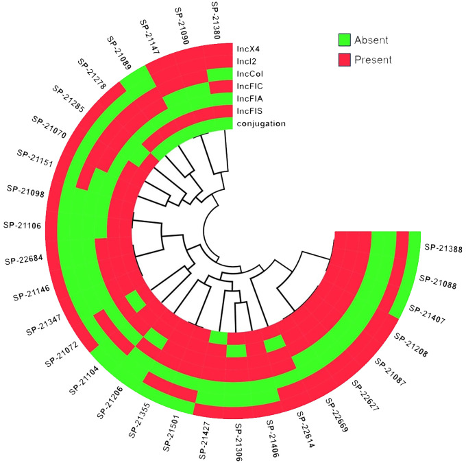 Figure 5