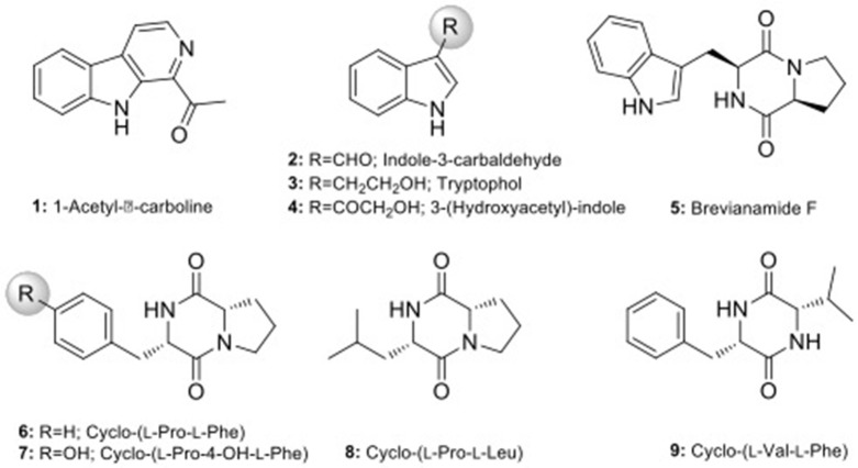 Figure 9