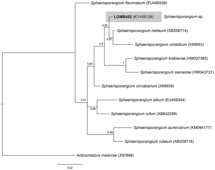 Figure 6