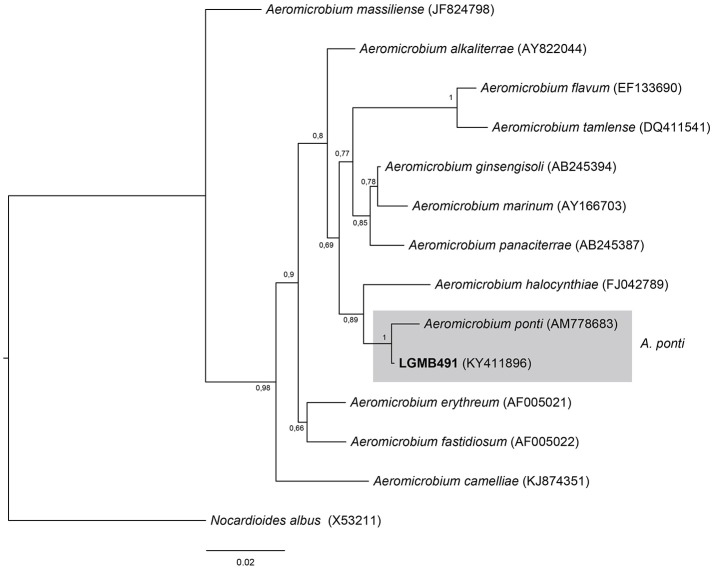 Figure 2