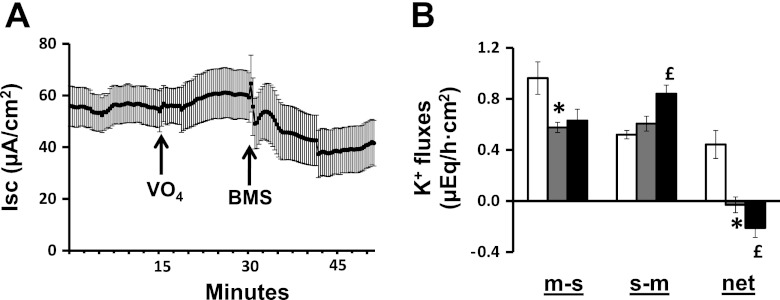 Fig. 7.